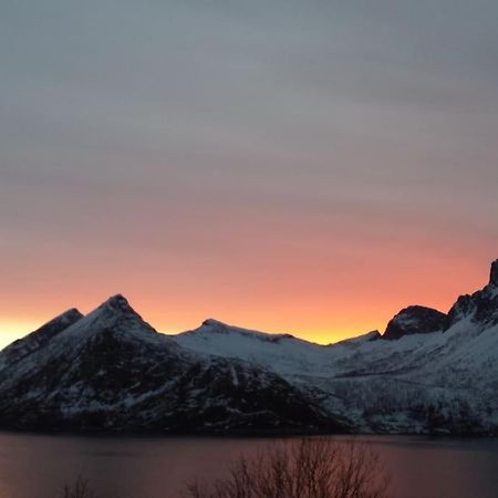 Senja, Husoy I Senja. Leilighet Med Utsikt Over Fjord Og Fjell Tofta 外观 照片