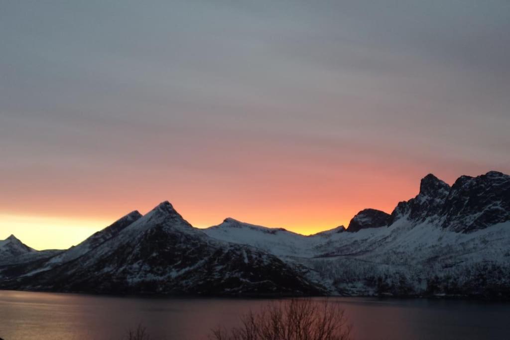 Senja, Husoy I Senja. Leilighet Med Utsikt Over Fjord Og Fjell Tofta 外观 照片