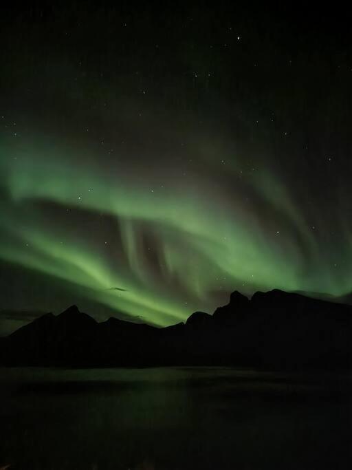 Senja, Husoy I Senja. Leilighet Med Utsikt Over Fjord Og Fjell Tofta 外观 照片